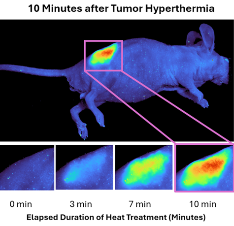 Heat-triggered drug delivery application