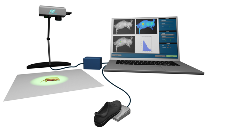 SphynxVision preclinical imaging system schematic